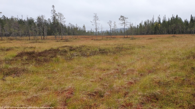 teerisuo im syote nationalpark