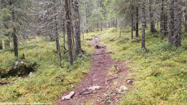 wanderweg im syoete nationalpark