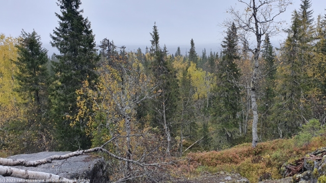aussicht vom nebengipfel des teerivaara im syoete nationalpark