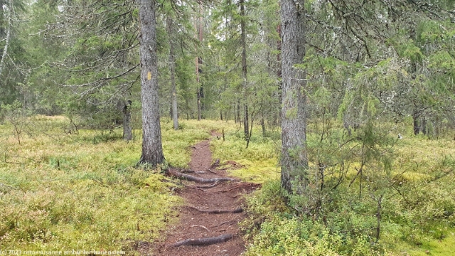 wanderweg im syoete nationalpark