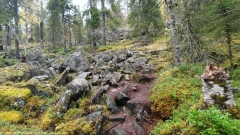 aufstieg richtung nebengipfel des teerivaara im syoete nationalpark