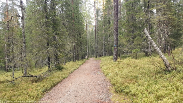 ahmankierros im syoete nationalpark