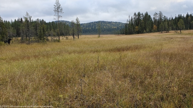 paeaettoemaensuo im syoete nationalpark