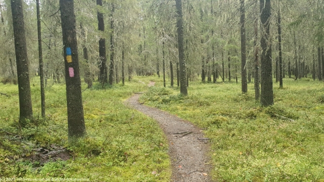 ahmankierros im syoete nationalpark