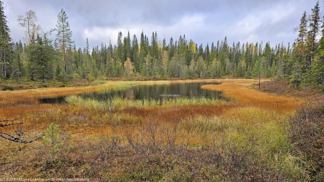 ahmalampi im syoete nationalpark