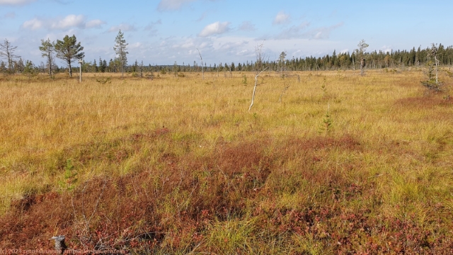 matosuo im syoete nationalpark