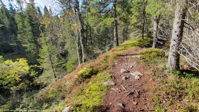 ahmankierros entlang einer krete im syoete nationalpark