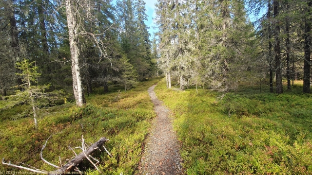 ahmankierros im syoete nationalpark