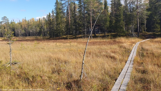 wandersteg durch sumpfgebiet im syoete nationalpark