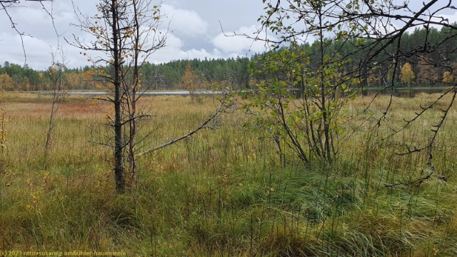 hannuksenlampi bei marjaniemi auf hailuoto