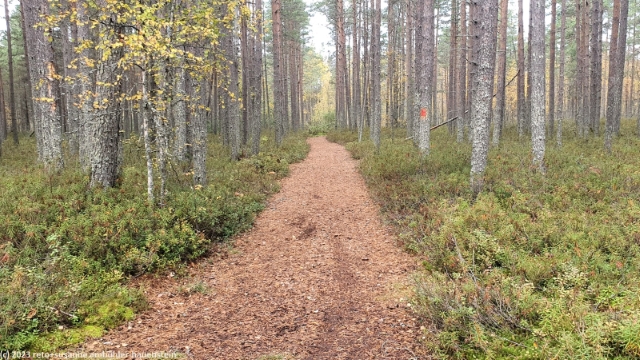 wanderweg bei marjaniemi auf hailuoto