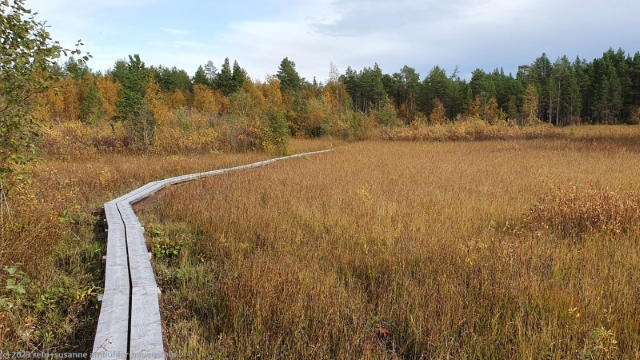 wandersteg um den hannuksenrantalampi bei marjaniemi auf hailuoto