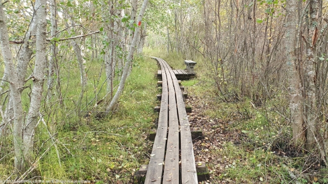 wandersteg entlang des hannuksenrantalampi bei marjaniemi auf hailuoto