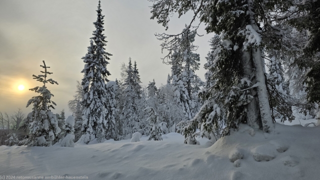 fantastische winterstimmung waehrend der fahrt durch ruka