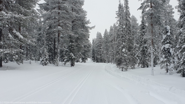 loipe durch wunderschoenen winterwald bei ruka