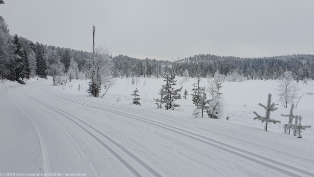loipe durch herrliche winterlandschaft bei ruka