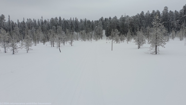 die diffuse beleuchtung laesst einen die spur kaum erkennen - langlauf-loipe bei ruka