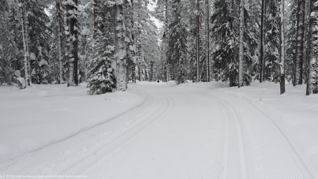 im wald ist der kontrast deutlich besser - langlauf-loipe bei ruka