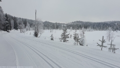 loipe durch herrliche winterlandschaft bei ruka