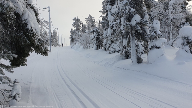 aufstieg im verlauf der loipe von unserem haus in ruka auf die ebene des rukajaervi und des vuosselijaervi