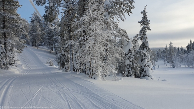 aufstieg im verlauf der loipe von unserem haus in ruka auf die ebene des rukajaervi und des vuosselijaervi