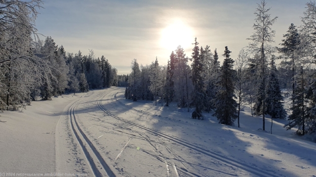 loipe durch winterlichen wald bei ruka
