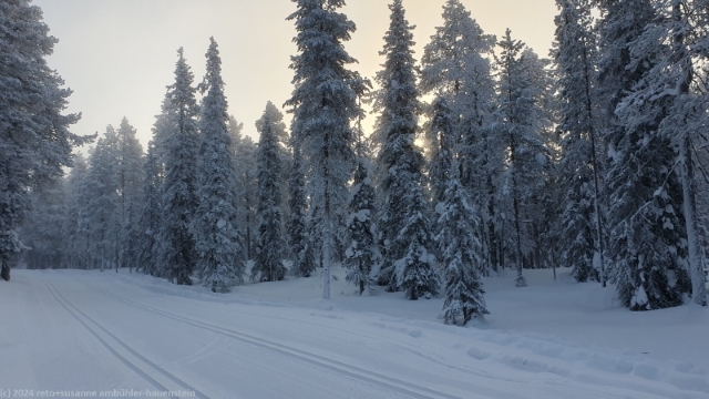 loipe durch fantastischen winterwald bei ruka