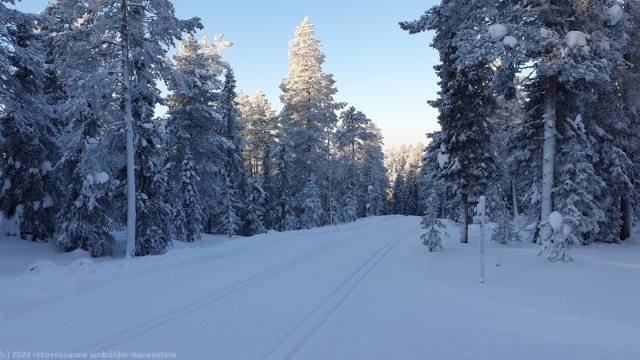 loipe durch herrlichen winterwald bei ruka