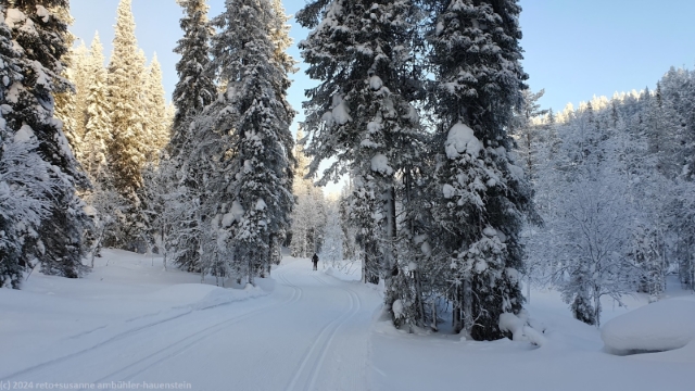 loipe entlang des salmilampi bei ruka