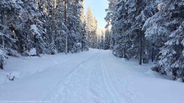 nicht gespurter abschnitt am fuss des pessarinvaara bei ruka