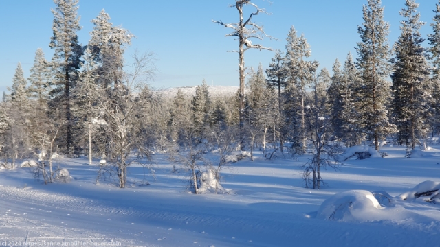 blick von der loipe auf den kaunispaeae bei saariselkae