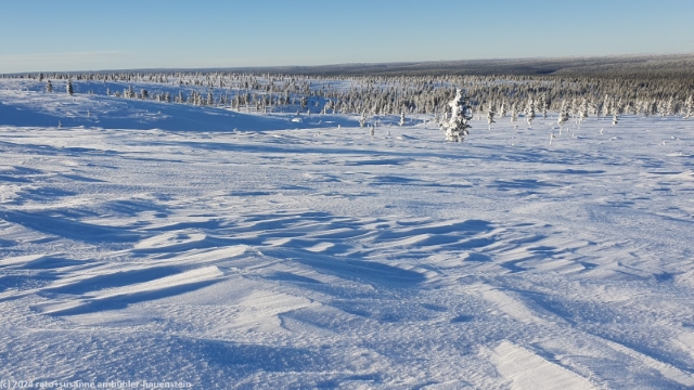 aussicht von der anhoehe westlich des ahopaeaet bei saariselkae