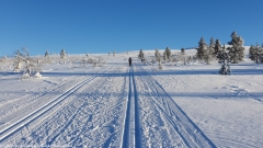 loipe auf der flanke des kiilopaeae bei saariselkae
