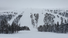 skipisten am iisakkipaeae bei saariselkae