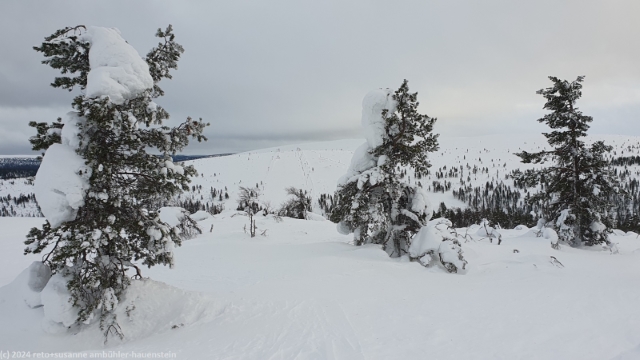blick vom kaunispaeae auf die skipisten am iisakkipaeae bei saariselkae