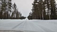 schnurgerade strasse 955