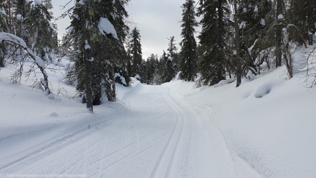 aufstieg im verlauf der loipe kaetkaen kierros bei levi