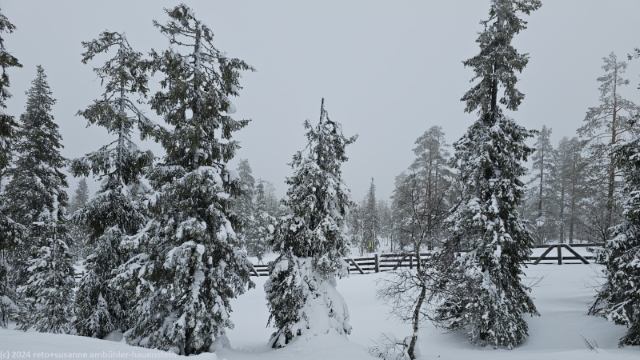 fantastische winterlandschaft nahe utsuvaara bei levi