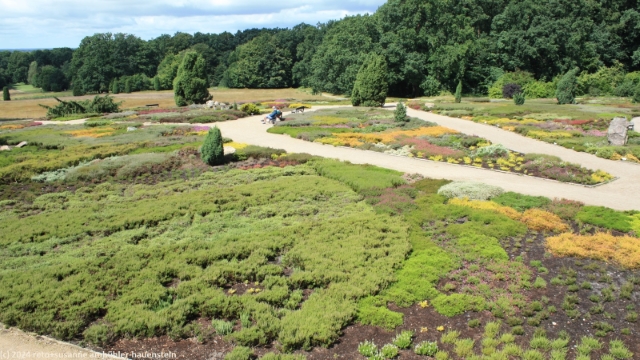 heidegarten bei schneverdingen