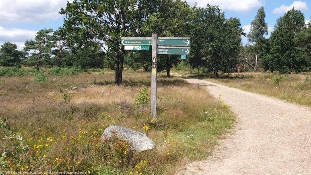wanderweg mit wegweiser in der lueneburger heide