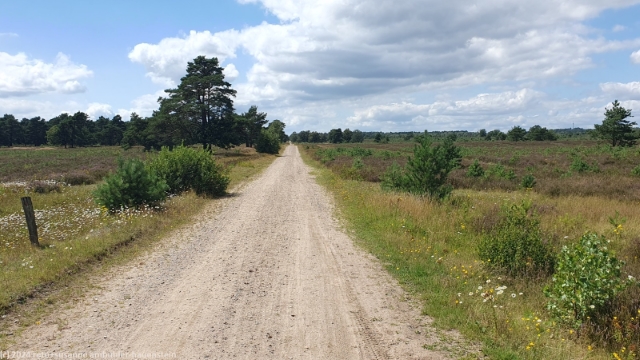 wanderweg in der lueneburger heide