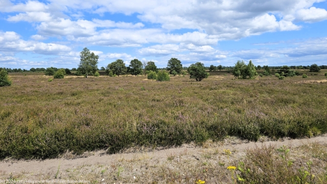 blick ueber die lueneburger heide