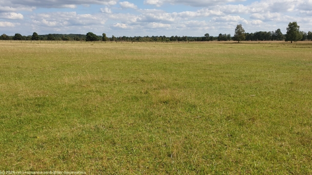 lueneburger heide beim pietzmoor