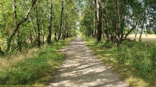 pietzmoor moorrundweg