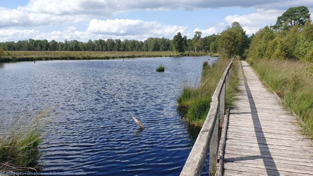 holzsteg im verlauf des pietzmoor moorrundweg