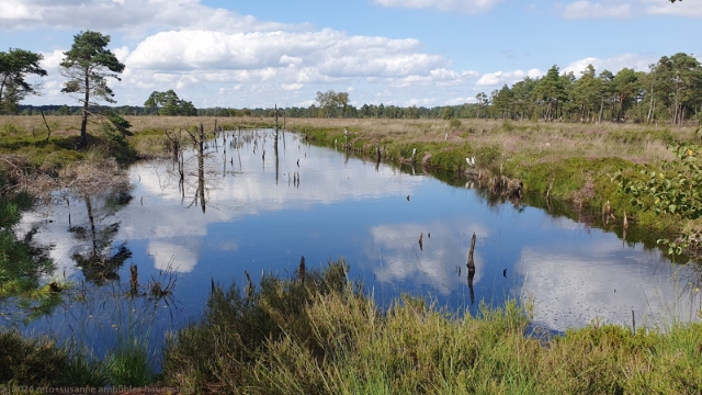 mit wasser gefuellte torfgrube im pietzmoor