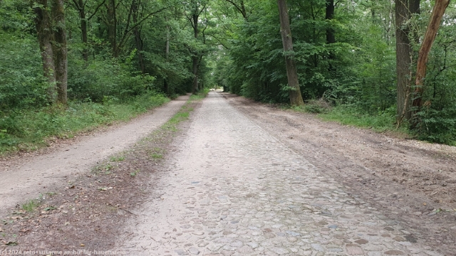 mit kopfsteinen gepflasterte strasse niederhaverbeck