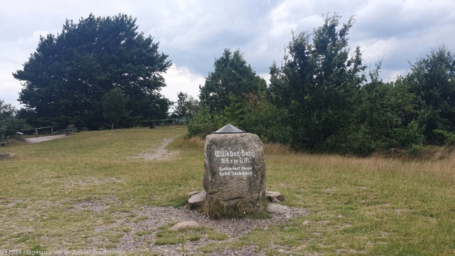 gipfel des wilseder berg (169.2 m.ue.m)