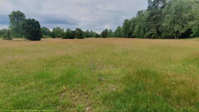 blick waehrend dem mittagessen auf die heide bei wilsede