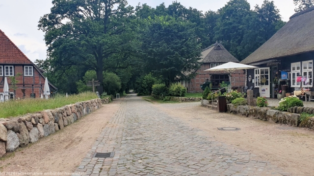 mit kopfsteinen gepflasterte strasse in wilsede